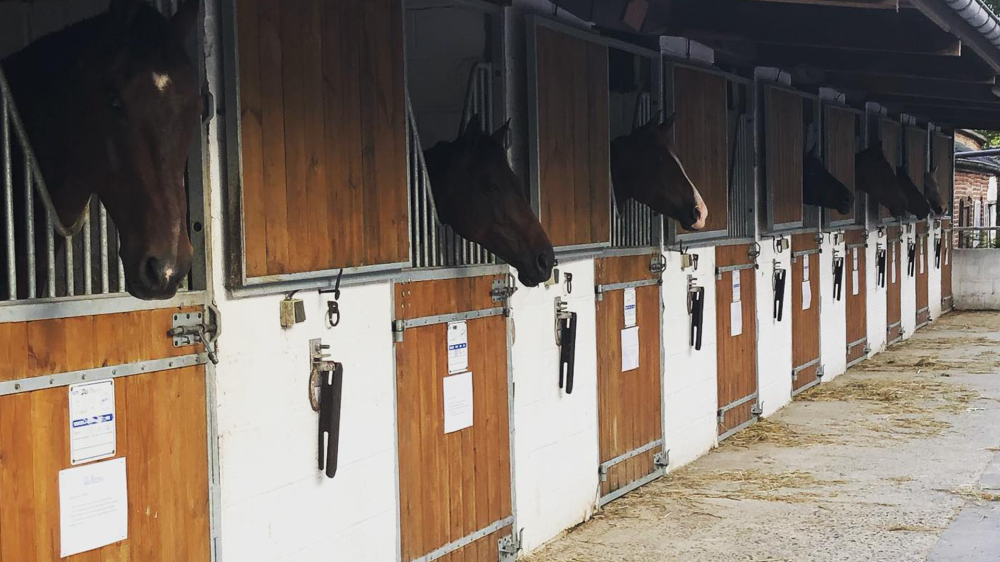 Notre-centre-equestre