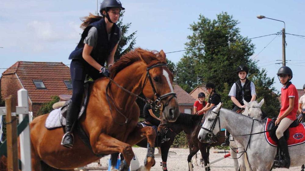 lecons-d-equitation